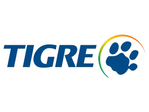 Pirâmide Materiais para Construção 30 logo-tigre